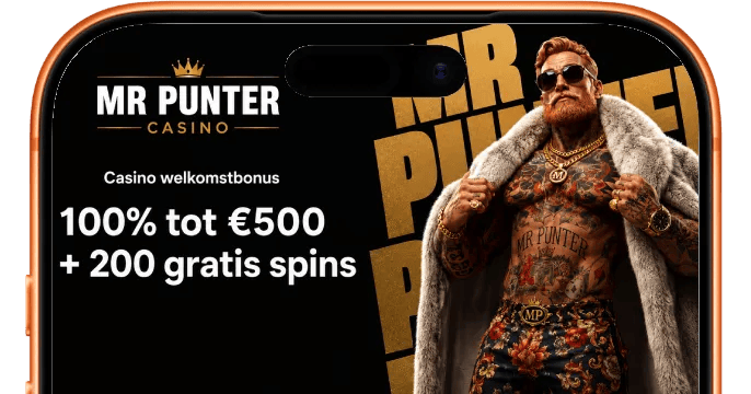 Mr Punter Casino banner